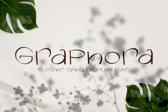 Graphora: An Elegant Sans Display Font for Thoughtful Typography