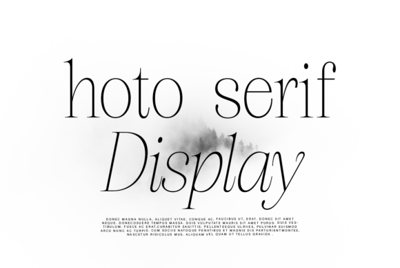Hoto Serif Display Font for Polished Brand Identity