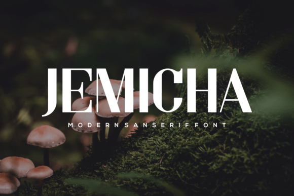 Jemicha: A Modern Sans Serif Font for Small Business Branding