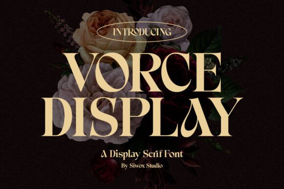 Vorce Display Serif Font for Handmade Creators